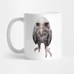 Wet owl Mug